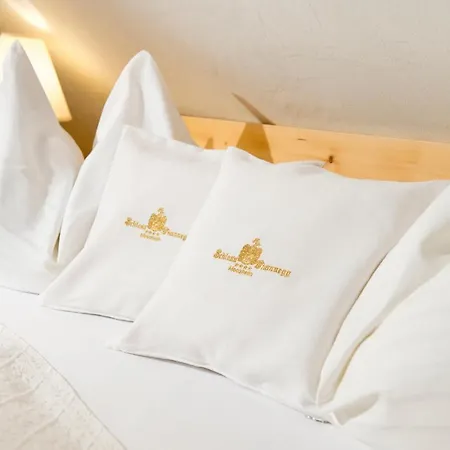 Schloss Thannegg Грёбминг